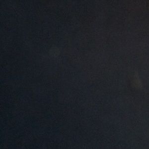 Meet your Posher, Teddy